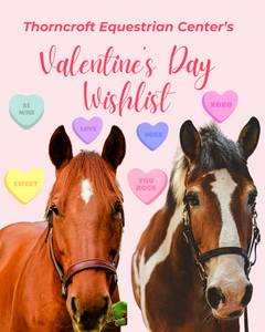 Valentine's Day Wishlist!